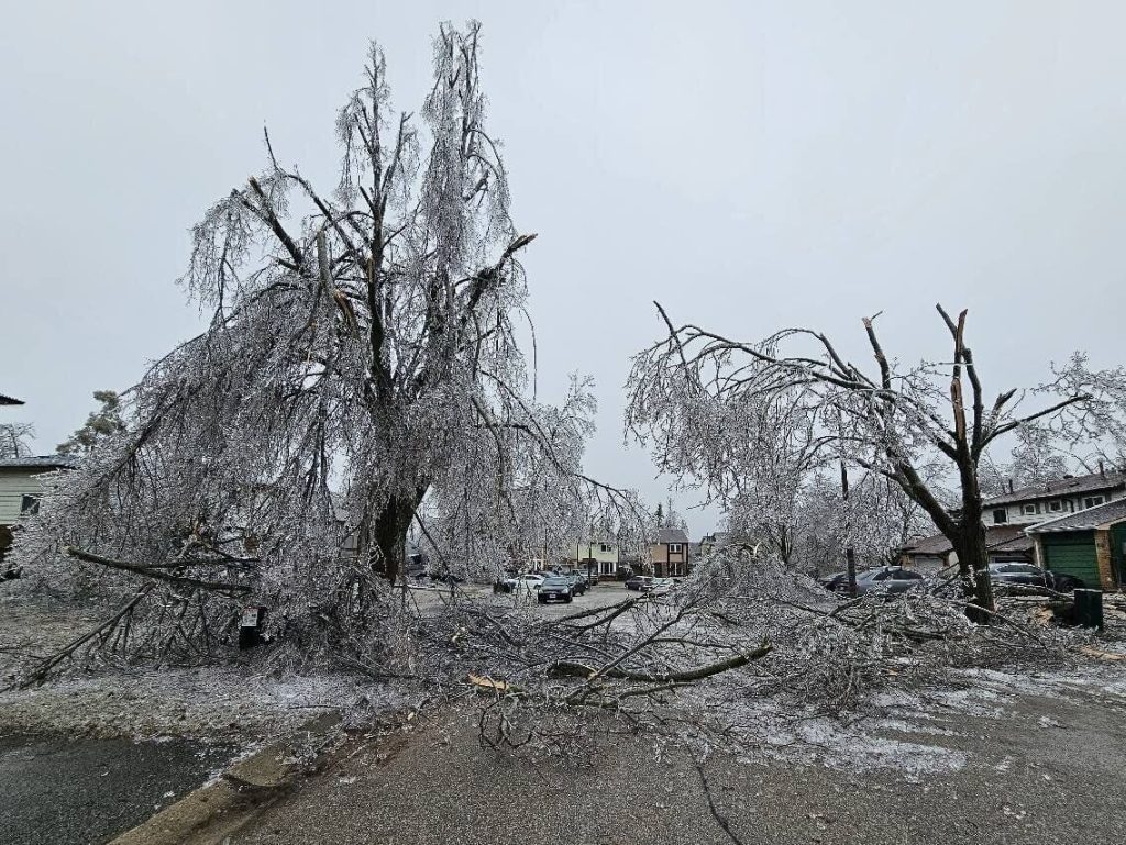 Christopher Martins / Facebook Christopher Martins documented the ice storm as it swept through his neighborhood in Barrie’s north end on Sunday.